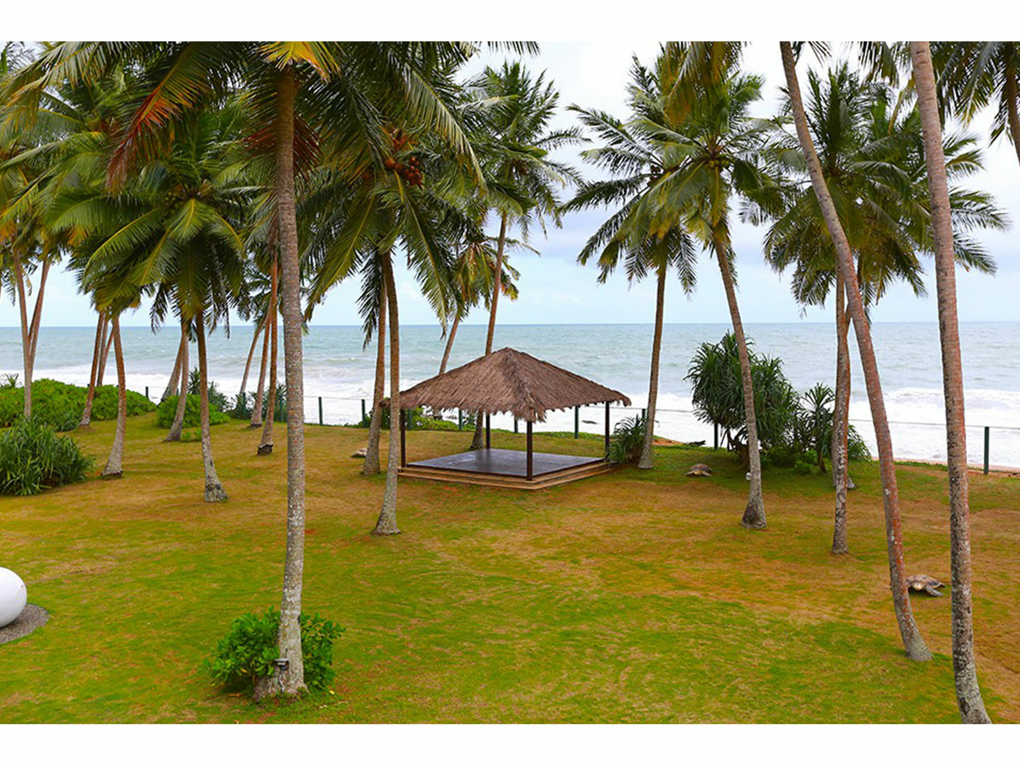 Green Turtle Villa By The Serendipity Collection Bentota Exterior foto